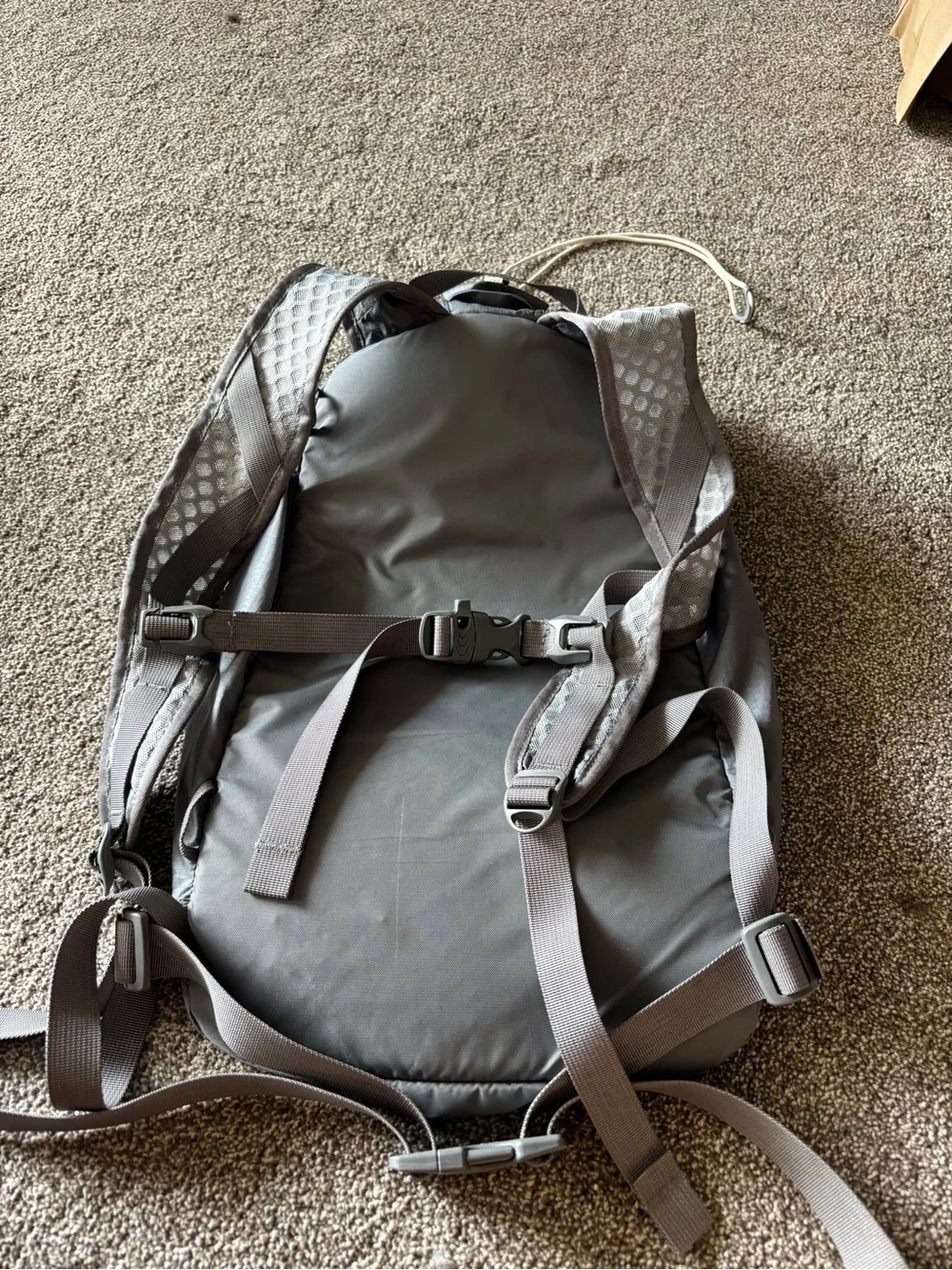 REI Flash 18 pack